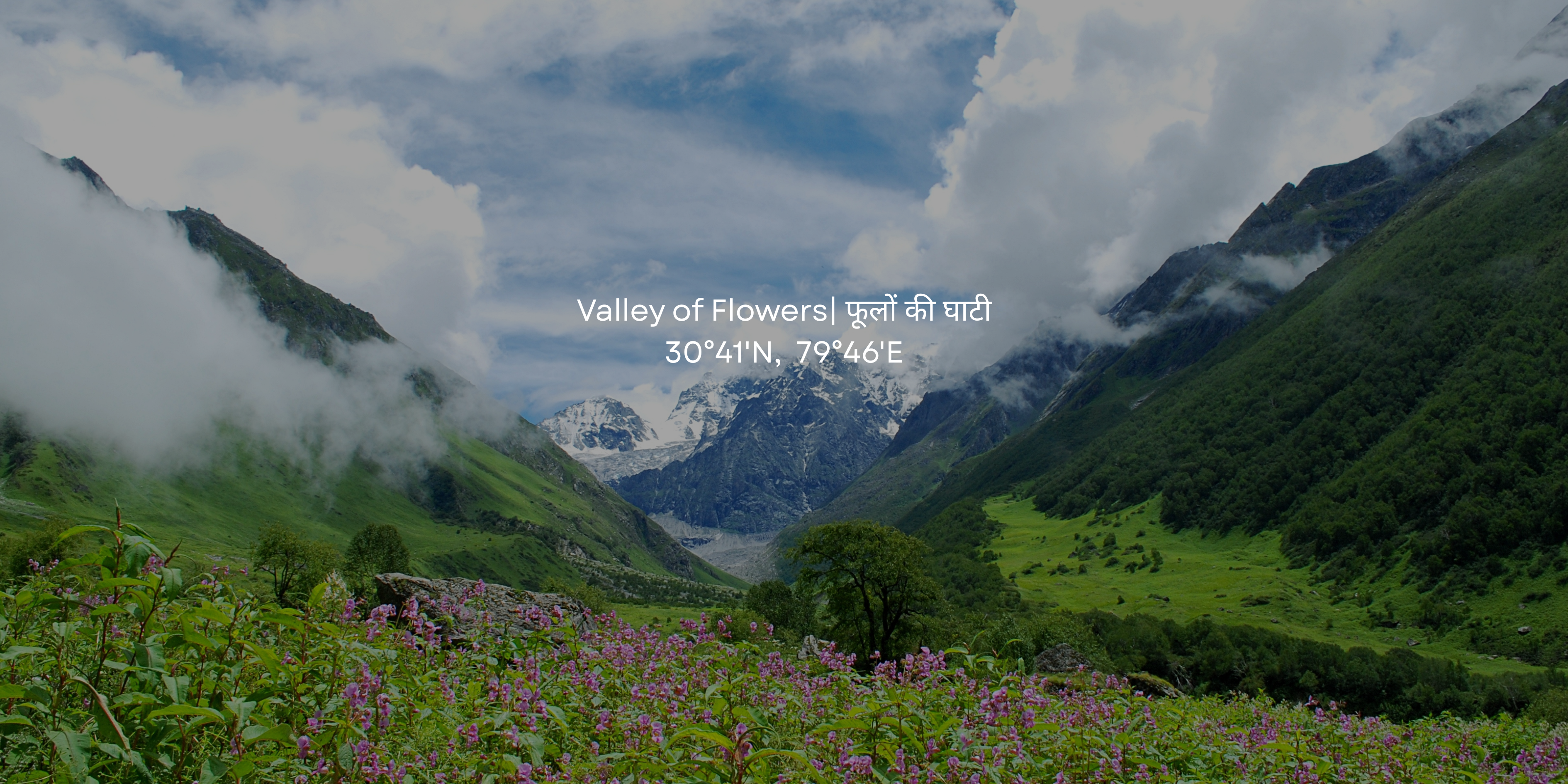 Valley of Flowers, Uttarakhand