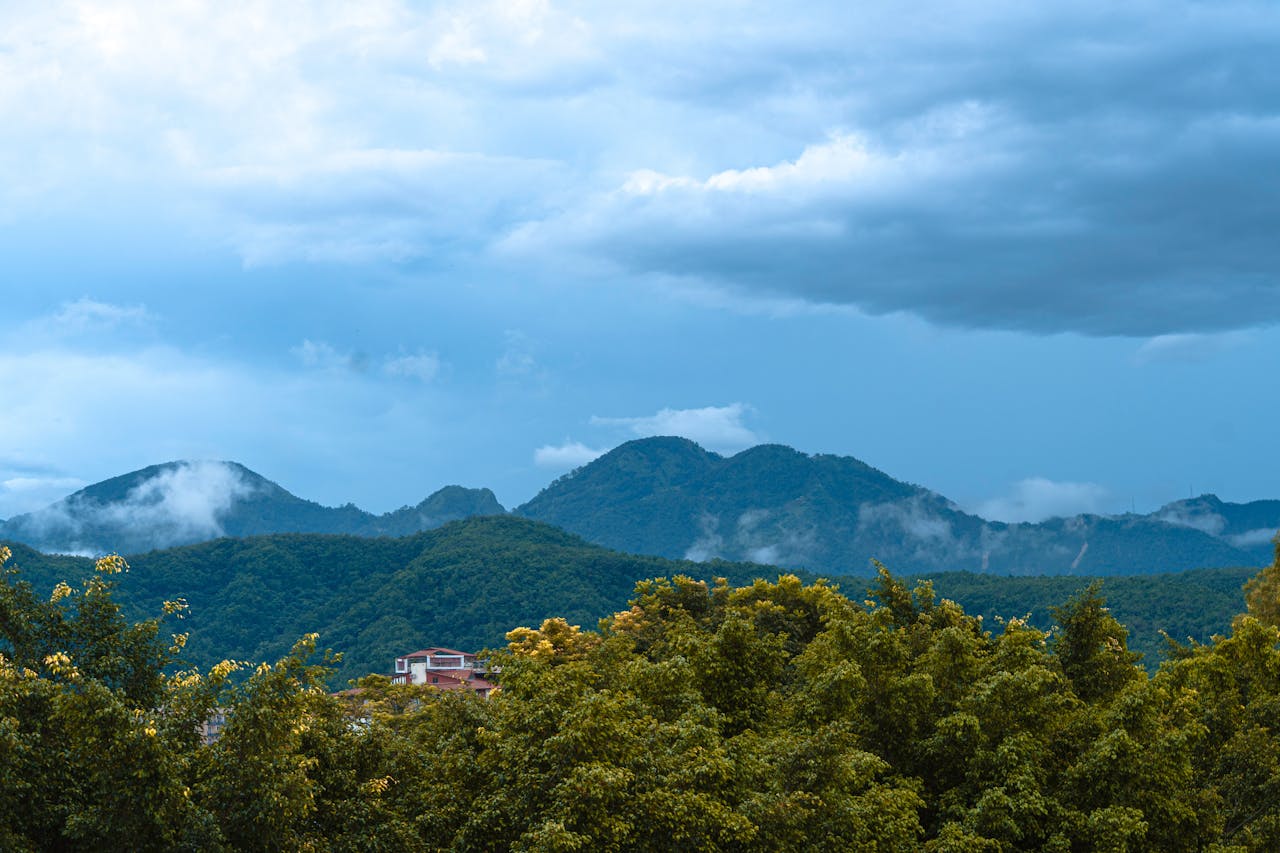 Image hover effect image