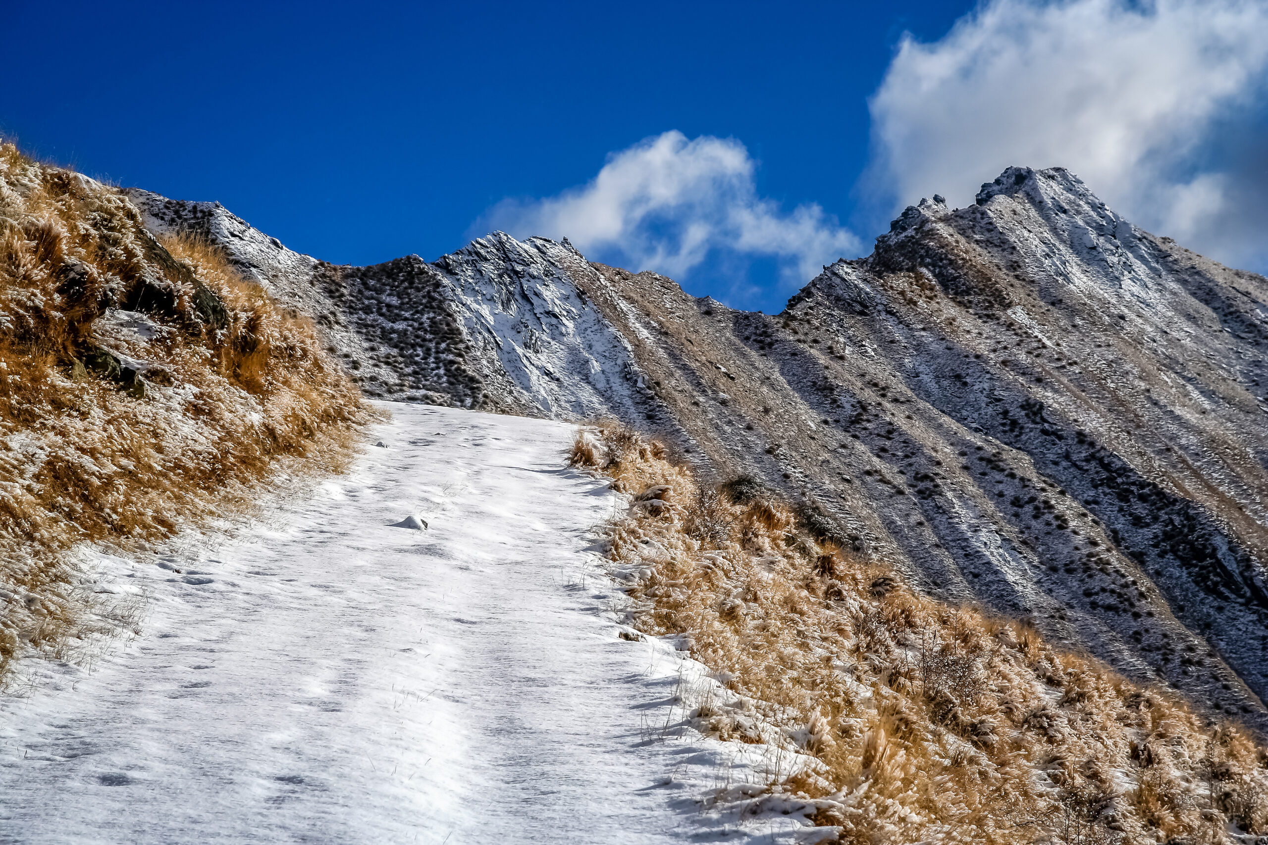 Image hover effect image