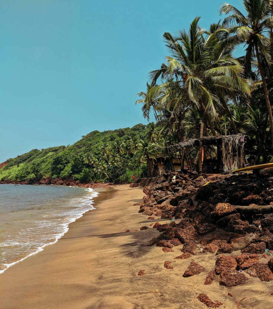 Tips for visiting Goa in December