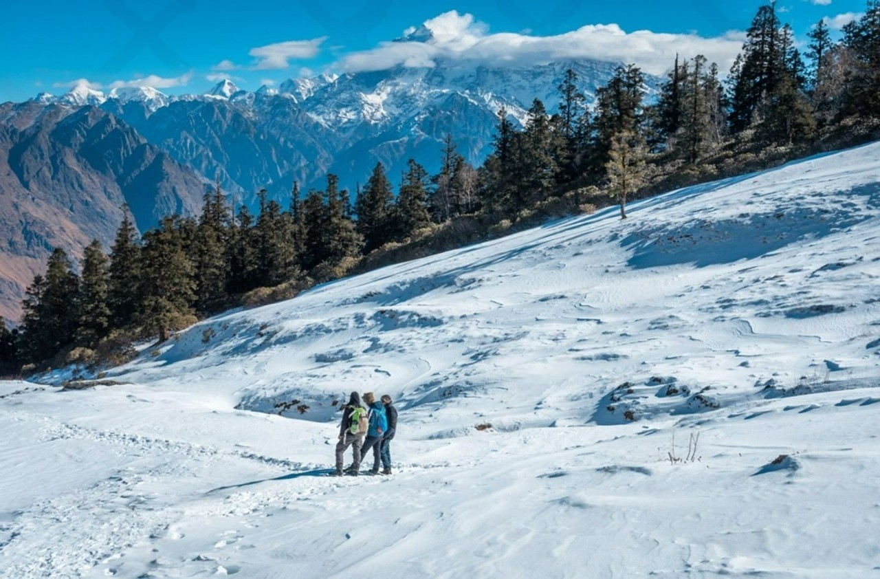 Image hover effect image