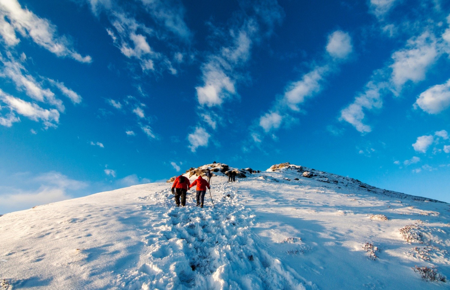 Image hover effect image