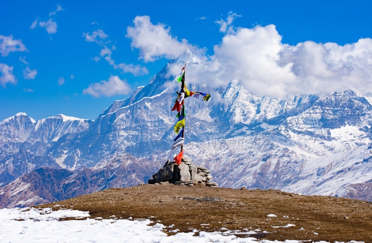 Image hover effect image