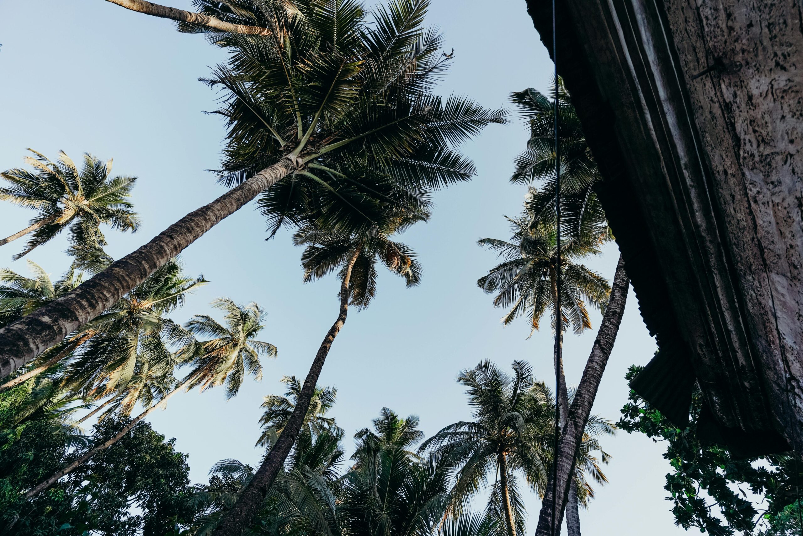 Goa- A Budget Friendly Travel Destination in India