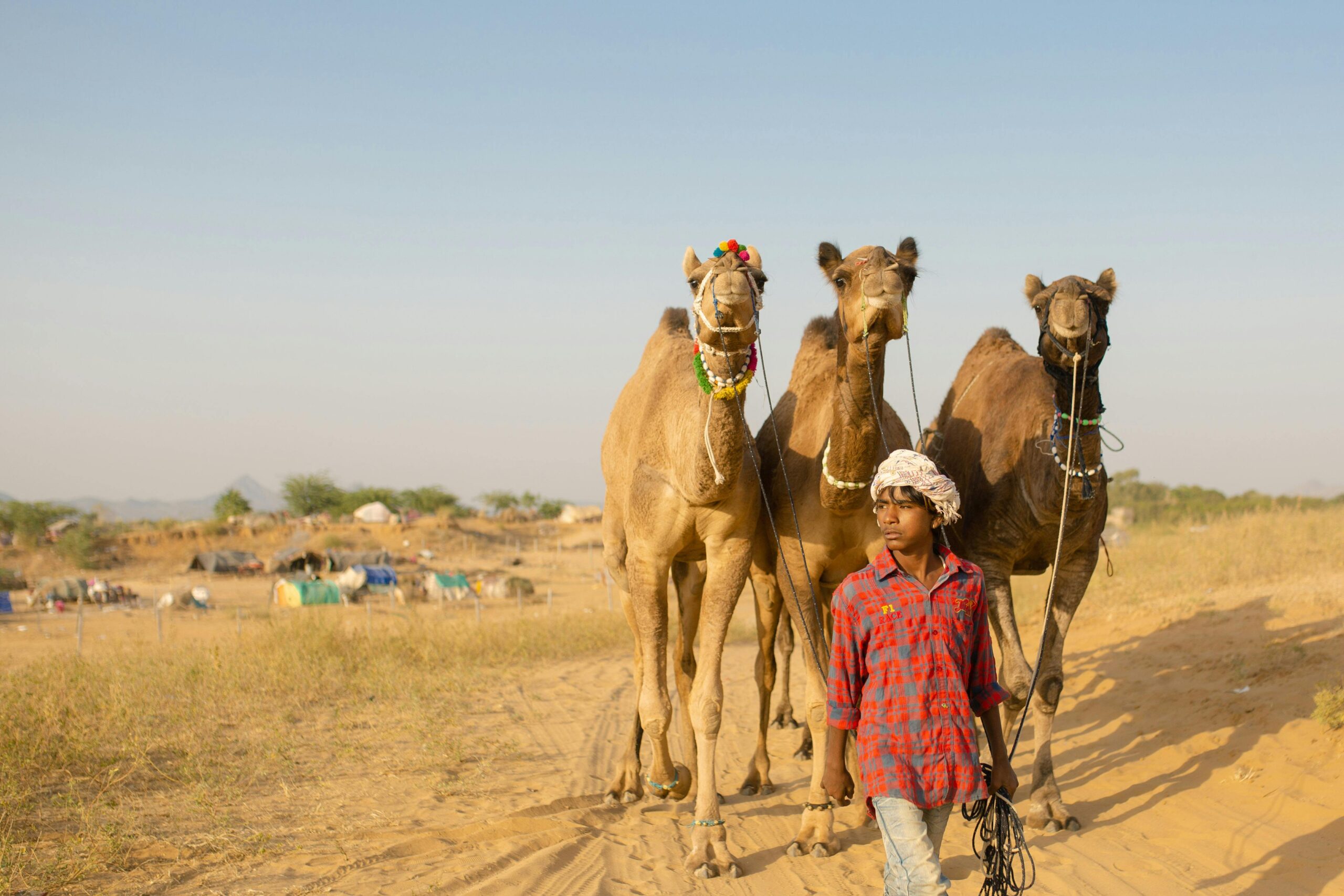 Pushkar- A Budget Friendly Travel Destination in India
